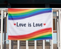 BANDERA LOVE IS LOVE